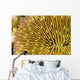 Mushroom Coral Wall Decal