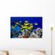 USA, School of Raccoon Butterflyfish Wall Mural