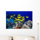 USA, School of Raccoon Butterflyfish Wall Mural