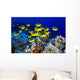 USA, School of Raccoon Butterflyfish Wall Mural