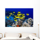 USA, School of Raccoon Butterflyfish Wall Mural