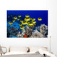 USA, School of Raccoon Butterflyfish Wall Mural
