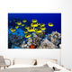 USA, School of Raccoon Butterflyfish Wall Mural