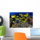 USA, School of Raccoon Butterflyfish Wall Mural