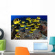 USA, School of Raccoon Butterflyfish Wall Mural