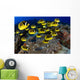USA, School of Raccoon Butterflyfish Wall Mural