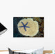 Fiji, Starfish on hard Plate Coral Wall Mural