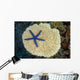 Fiji, Starfish on hard Plate Coral Wall Mural