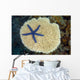 Fiji, Starfish on hard Plate Coral Wall Mural
