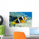 Orange-Fin Anemonefish over Anemone Wall Mural