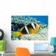 Orange-Fin Anemonefish over Anemone Wall Mural
