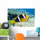 Orange-Fin Anemonefish over Anemone Wall Mural