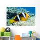 Orange-Fin Anemonefish over Anemone Wall Mural