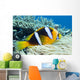 Orange-Fin Anemonefish over Anemone Wall Mural