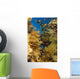 Alconarian Coral and school of Anthias Wall Mural
