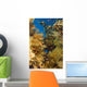 Alconarian Coral and school of Anthias Wall Mural