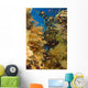 Alconarian Coral and school of Anthias Wall Mural