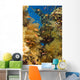 Alconarian Coral and school of Anthias Wall Mural