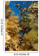 Alconarian Coral and school of Anthias Wall Mural