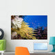 Alconarian and Gorgonian Coral Wall Mural
