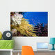 Alconarian and Gorgonian Coral Wall Mural