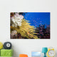 Alconarian and Gorgonian Coral Wall Mural