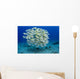 USA, Bluestripe Snapper Wall Mural