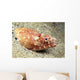 USA, Crocodile Snake Eel or Puhi Wall Mural
