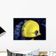 Blue Cheeked Butterflyfish Wall Mural