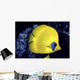 Blue Cheeked Butterflyfish Wall Mural