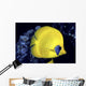 Blue Cheeked Butterflyfish Wall Mural