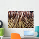 USA, Miner's Urchin Shrimp on Collector Urchin Wall Mural