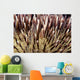 USA, Miner's Urchin Shrimp on Collector Urchin Wall Mural