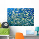 Bluestripe Snapper Were Introduced To Hawaii Wall Mural