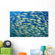 Bluestripe Snapper Were Introduced To Hawaii Wall Mural
