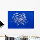Spotted Oceanic Triggerfish Wall Mural
