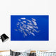 Spotted Oceanic Triggerfish Wall Mural