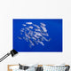 Spotted Oceanic Triggerfish Wall Mural