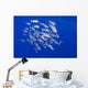 Spotted Oceanic Triggerfish Wall Mural
