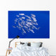 Spotted Oceanic Triggerfish Wall Mural