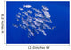 Spotted Oceanic Triggerfish Wall Mural