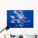 USA, Spotted Oceanic Triggerfish Wall Mural