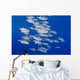USA, Spotted Oceanic Triggerfish Wall Mural