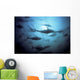 Southern Bluefin Tuna Circle In A Holding Pen Wall Mural