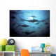 Southern Bluefin Tuna Circle In A Holding Pen Wall Mural