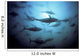 Southern Bluefin Tuna Circle In A Holding Pen Wall Mural