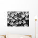 Malaysia, Close-Up Of Leather Coral Polyps Wall Mural