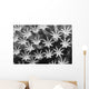 Malaysia, Close-Up Of Leather Coral Polyps Wall Mural