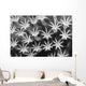 Malaysia, Close-Up Of Leather Coral Polyps Wall Mural