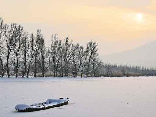 Winter Landscape Wall Decal Design 1